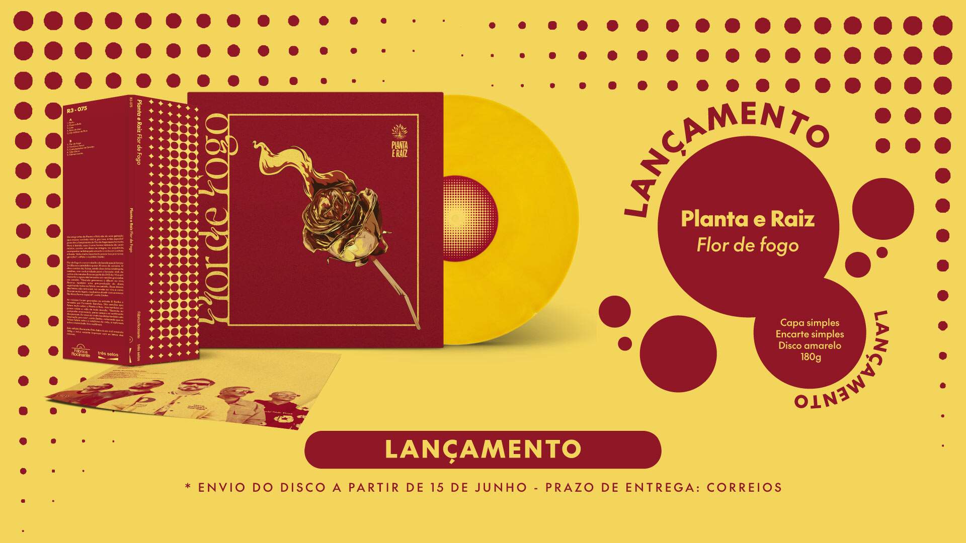 Lançamento - Planta e Raiz - Flor de fogo