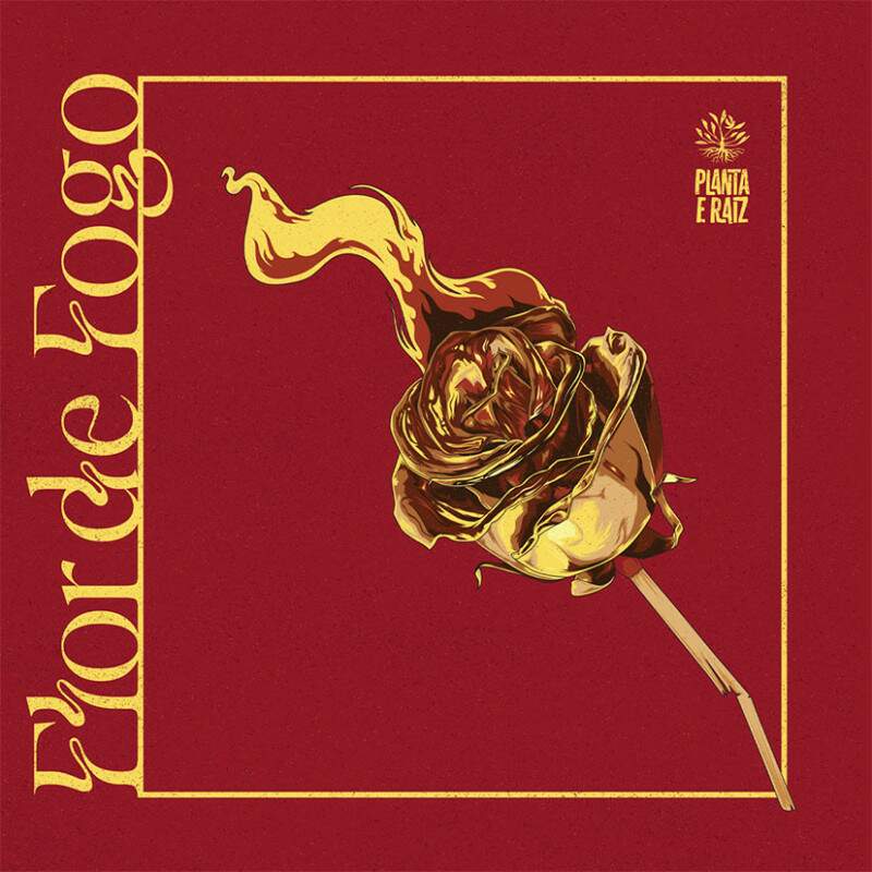 PLANTA E RAIZ - FLOR DE FOGO (LP)