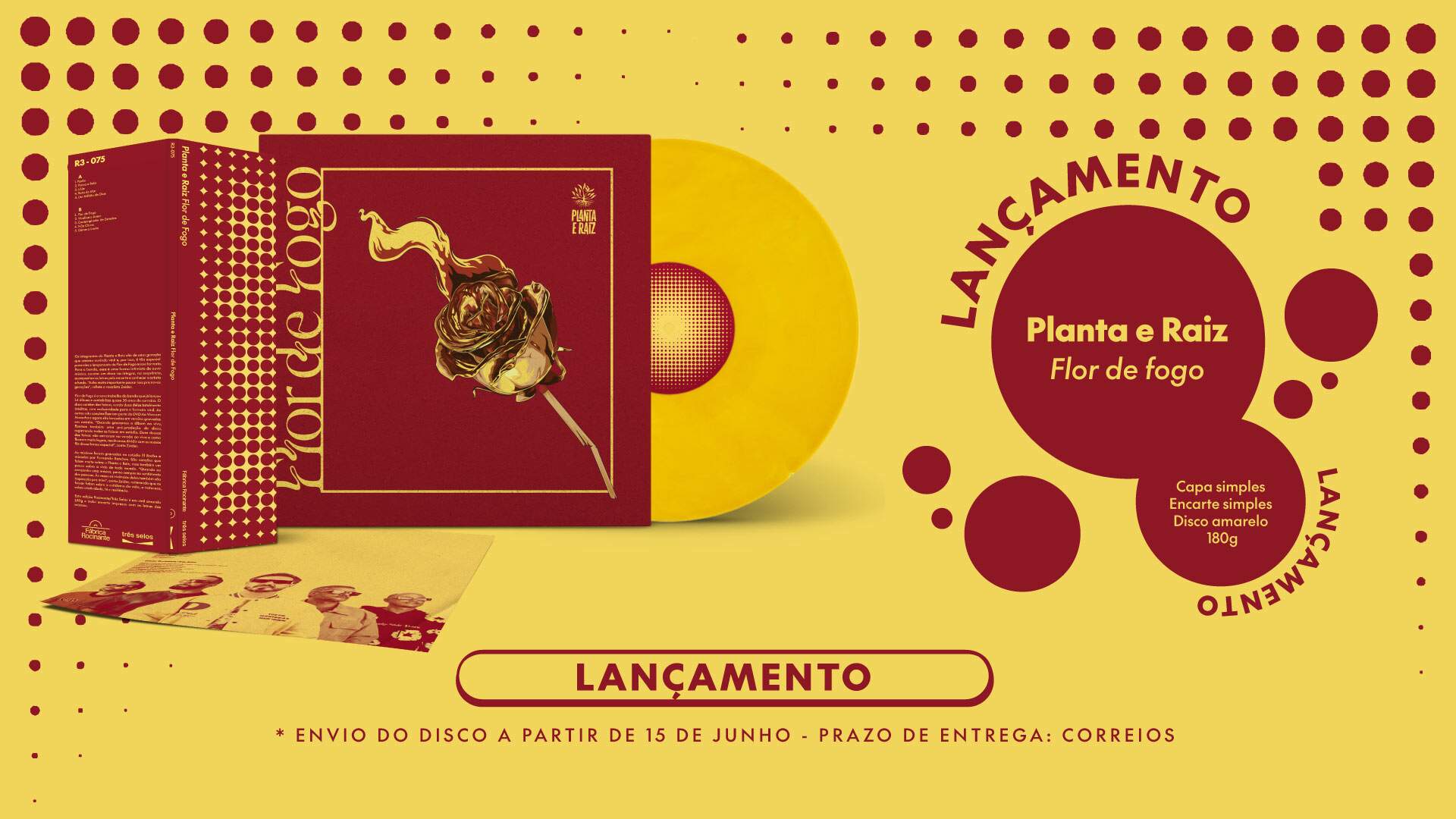 Lançamento - Planta e Raiz - Flor de fogo