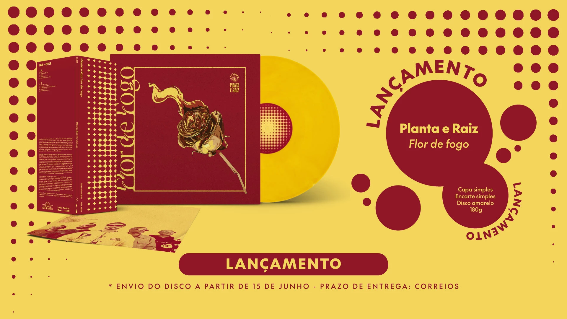 Lançamento - Planta e Raiz - Flor de fogo